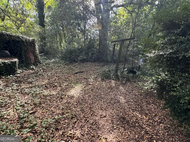 a view of a forest filled with trees