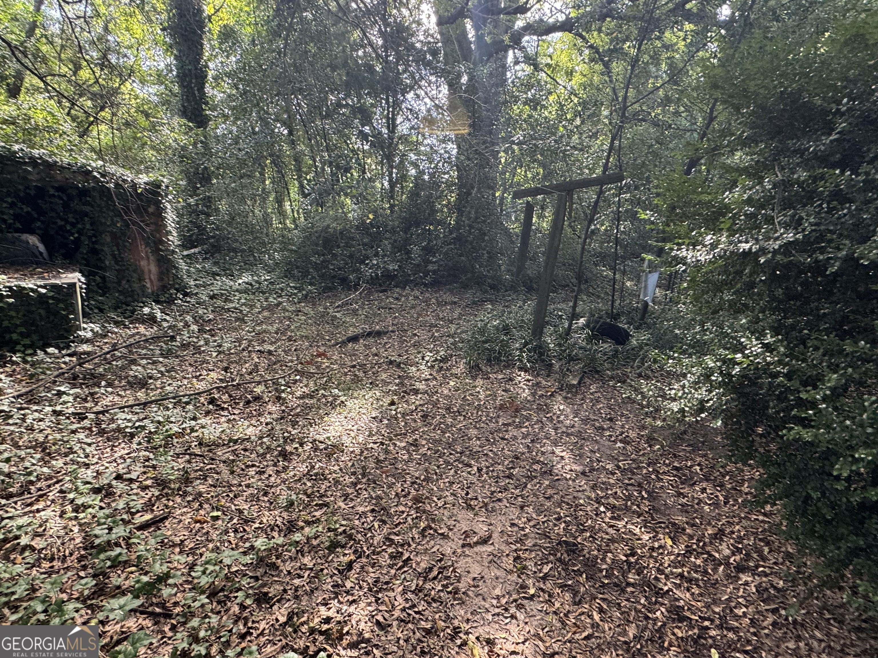 406 South Hampton Street Americus, GA 31709 - Photo 9 of 9 a view of a forest filled with trees