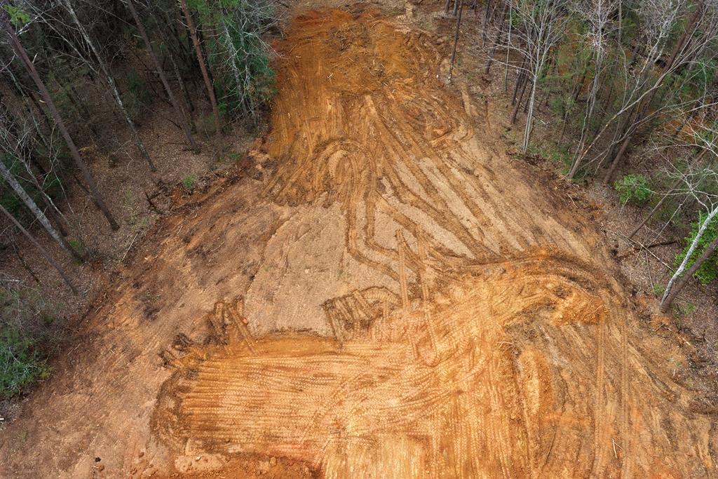 1 Clay's Way Cherry Log, GA 30522 - Photo 11 of 11 a backyard of a house with large trees