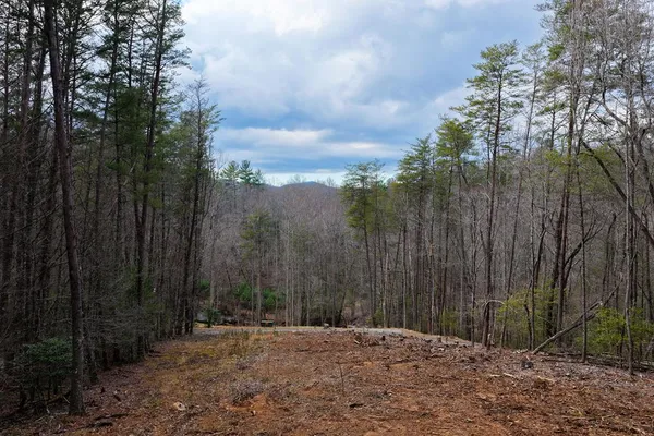$629,000 | 1 Clay's Way, Cherry Log, GA 30522