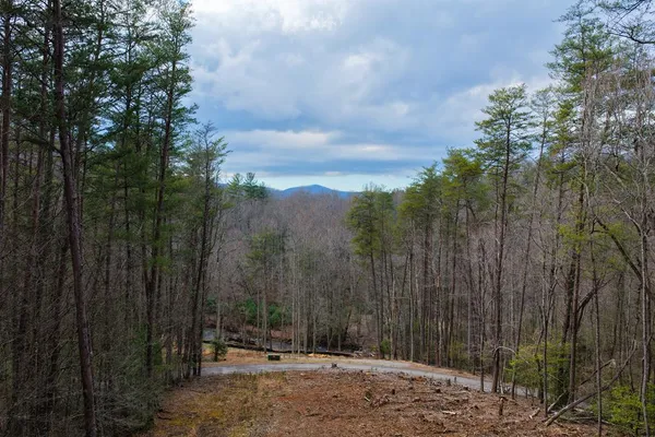 $629,000 | 1 Clay's Way, Cherry Log, GA 30522