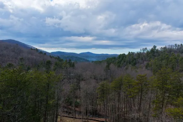 $629,000 | 1 Clay's Way, Cherry Log, GA 30522