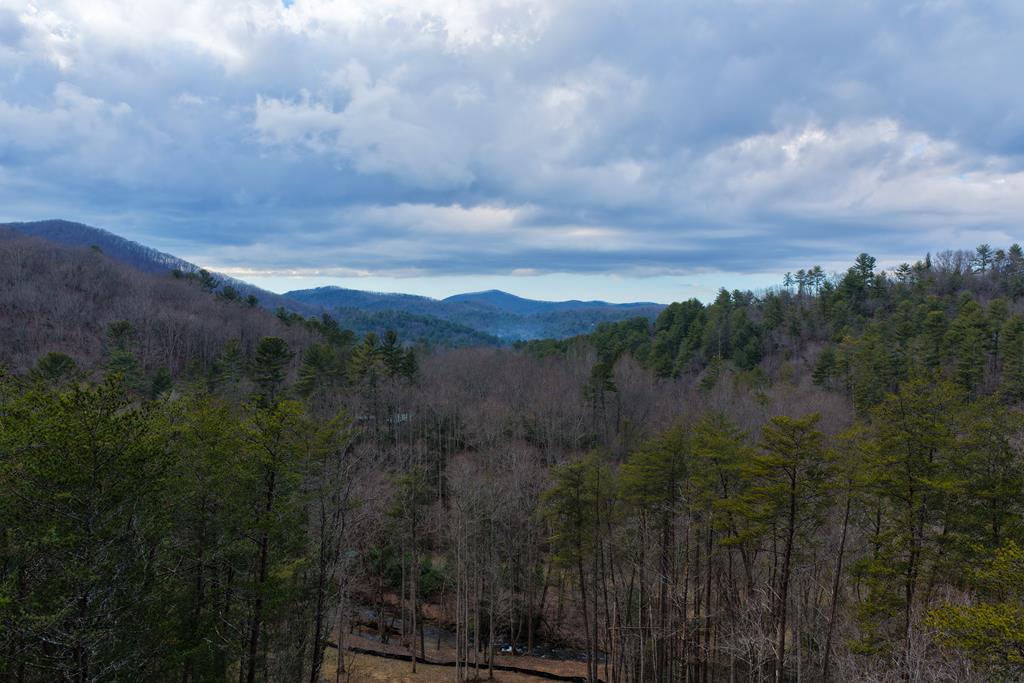 1 Clay's Way Cherry Log, GA 30522 - Photo 8 of 11 a view of a city with lush green forest