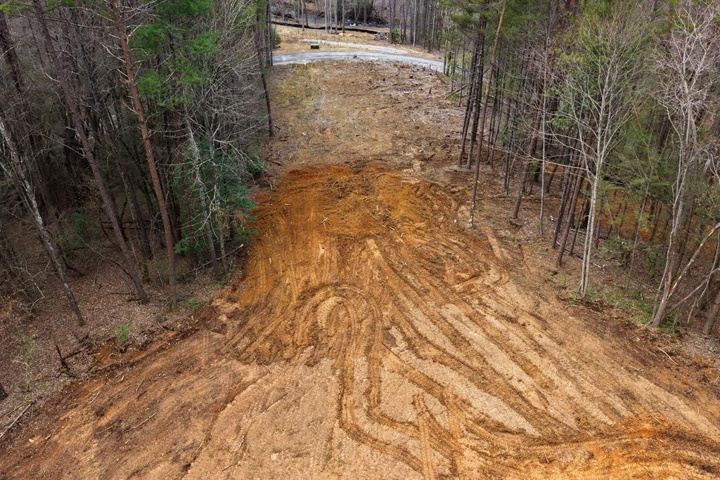 1 Clay's Way Cherry Log, GA 30522 - Photo 10 of 11 a view of a pathway both side of yard