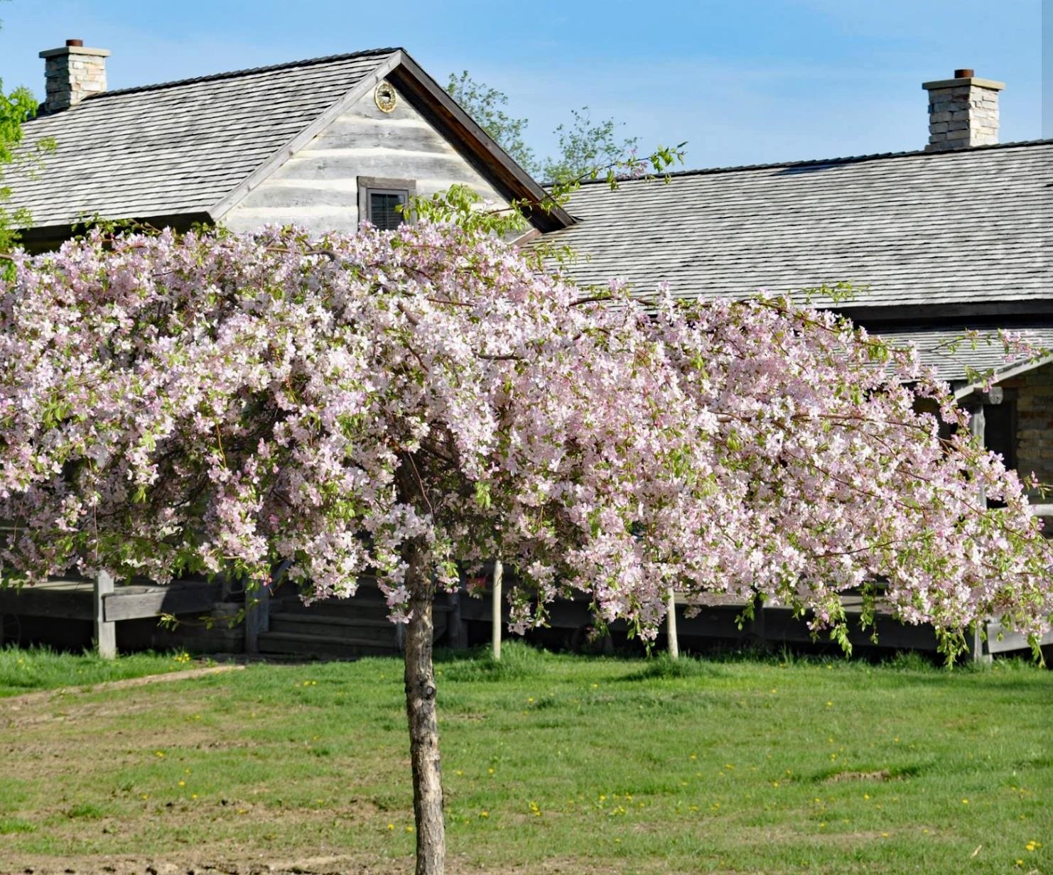 14951 County Road South Cazenovia, WI 53924 - Photo 56 of 70