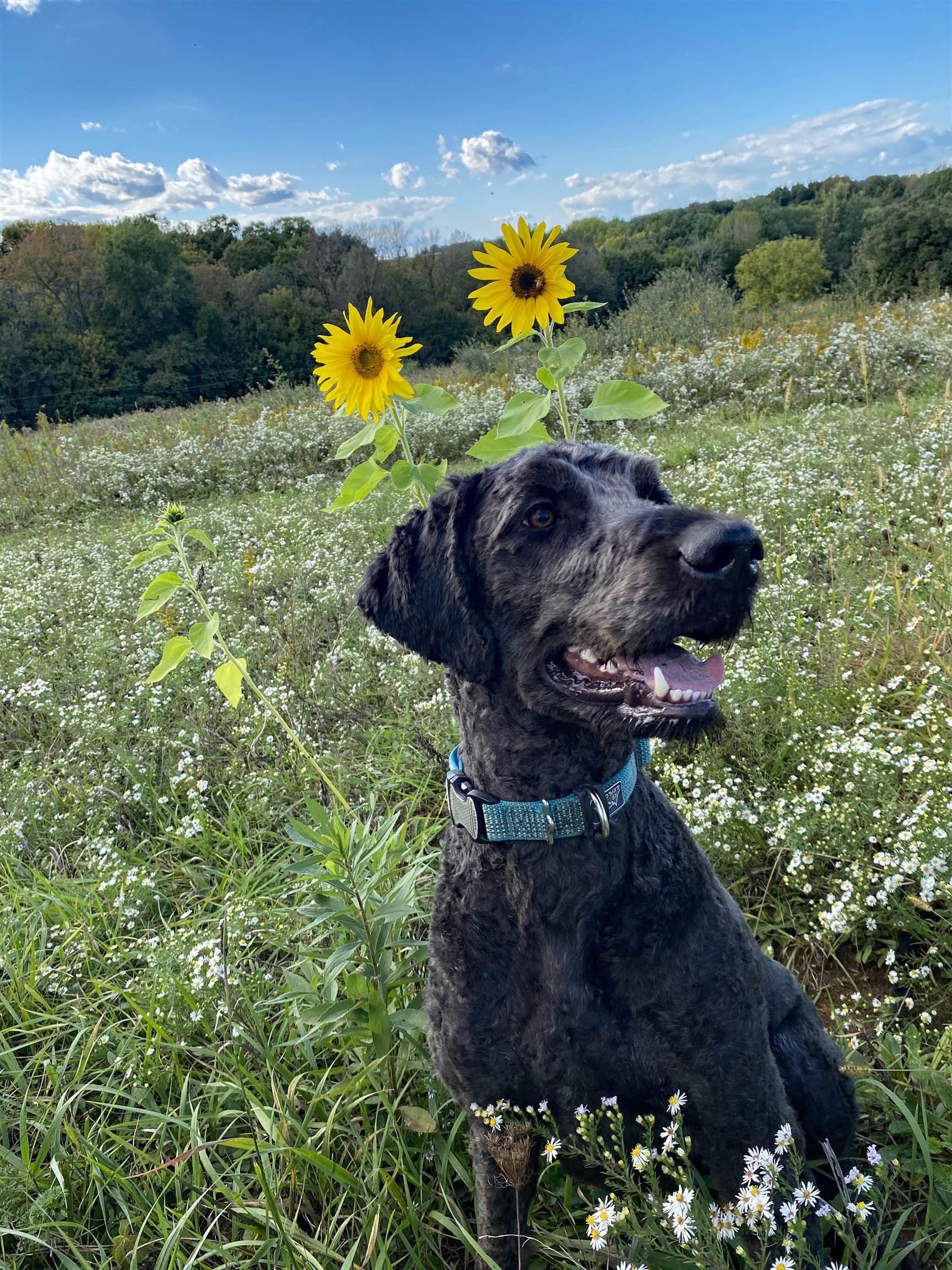 14951 County Road South Cazenovia, WI 53924 - Photo 57 of 70