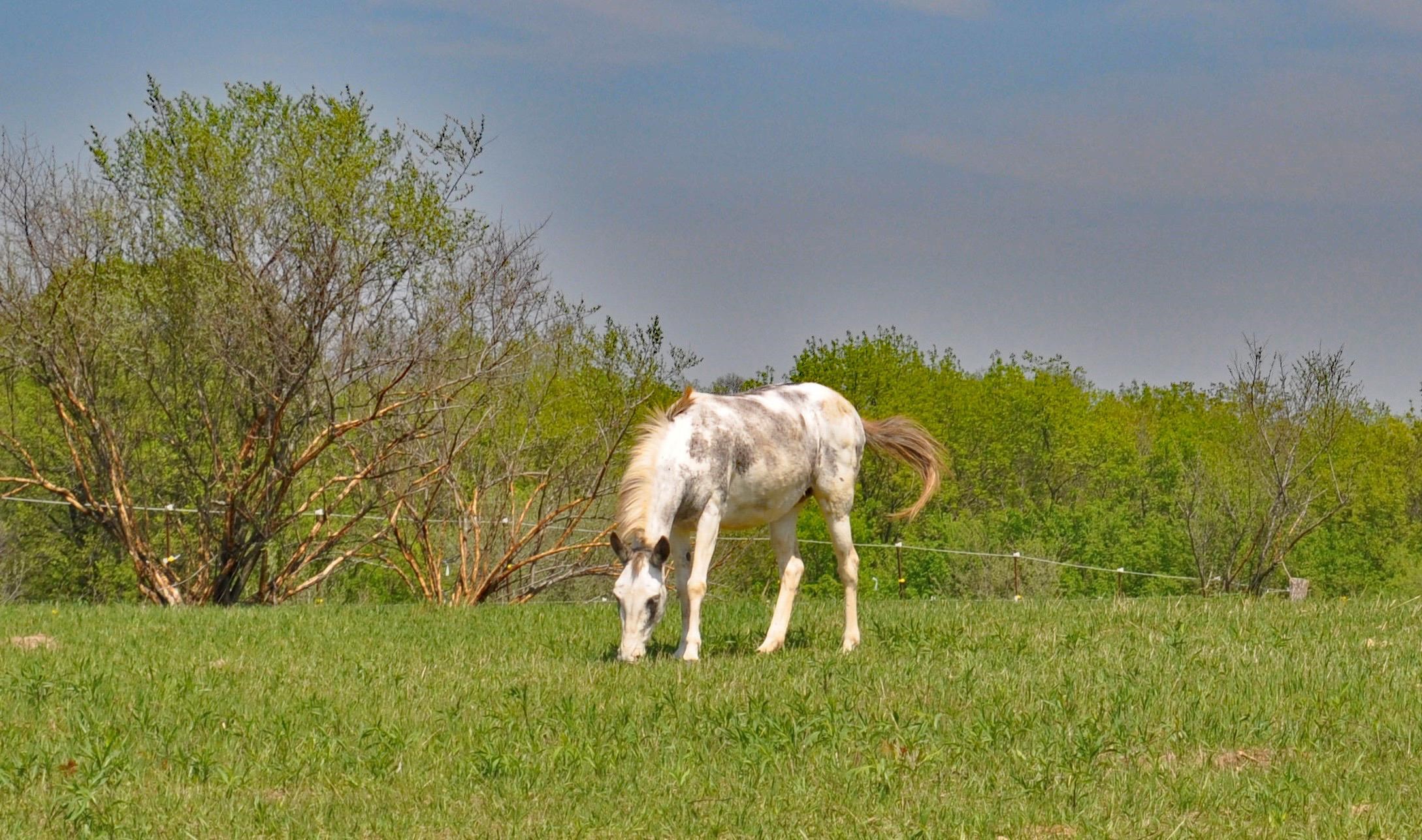 14951 County Road South Cazenovia, WI 53924 - Photo 58 of 70