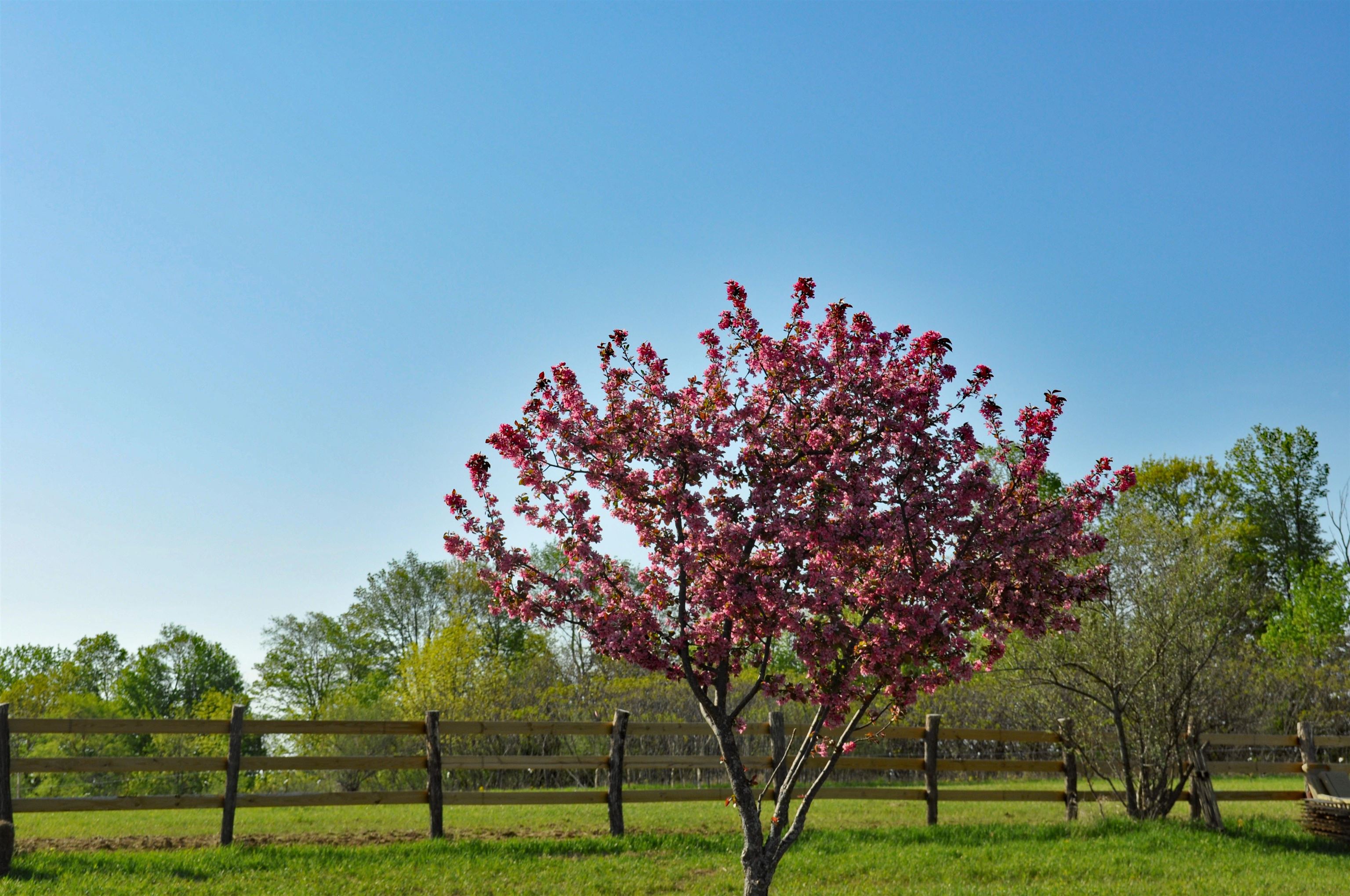 14951 County Road South Cazenovia, WI 53924 - Photo 67 of 70