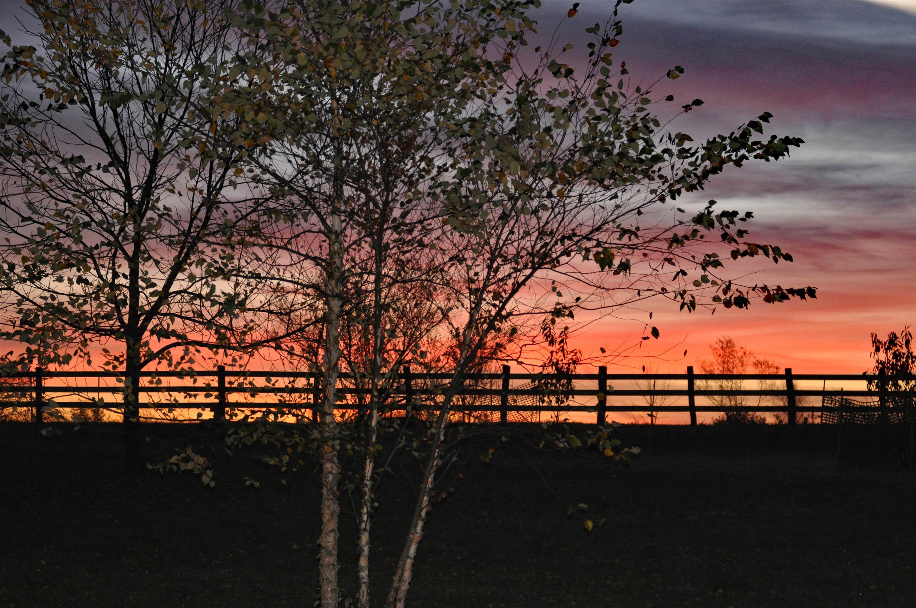 14951 County Road South Cazenovia, WI 53924 - Photo 68 of 70