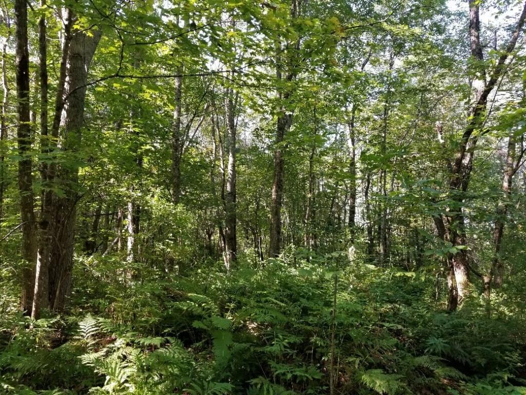 M4-l76 Flagg Road New Sharon, ME 04955 - Photo 16 of 27 Photo