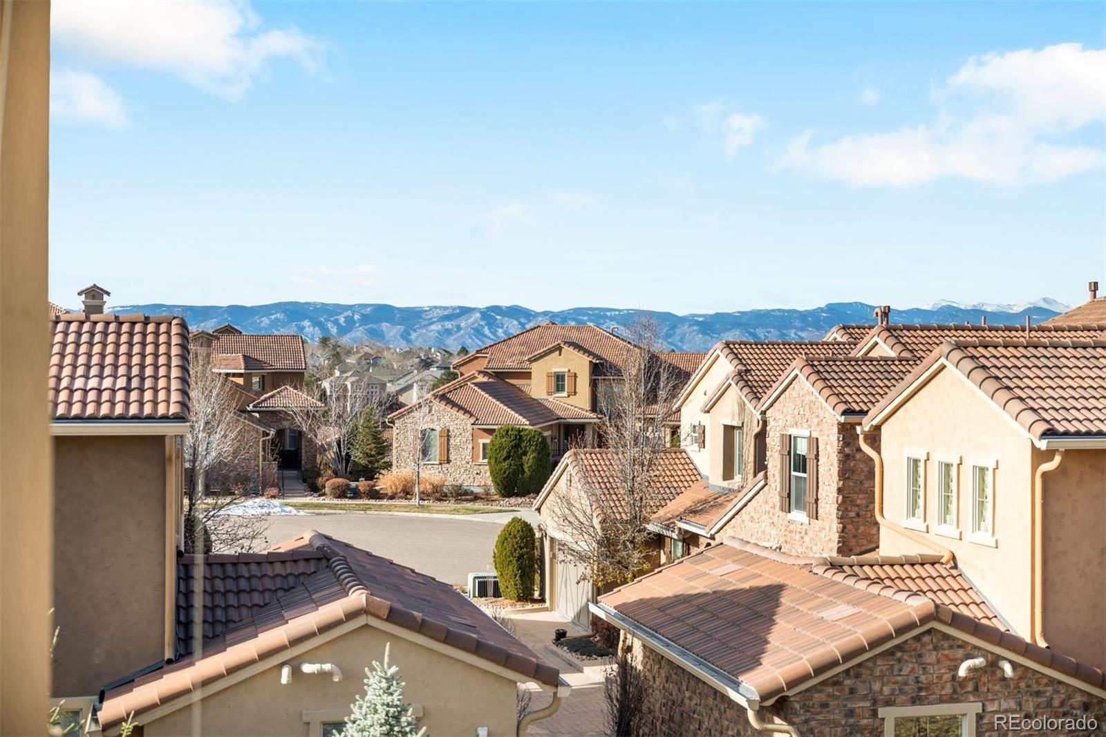 9537 Rosato Court Highlands Ranch, CO 80126 - Photo 47 of 48