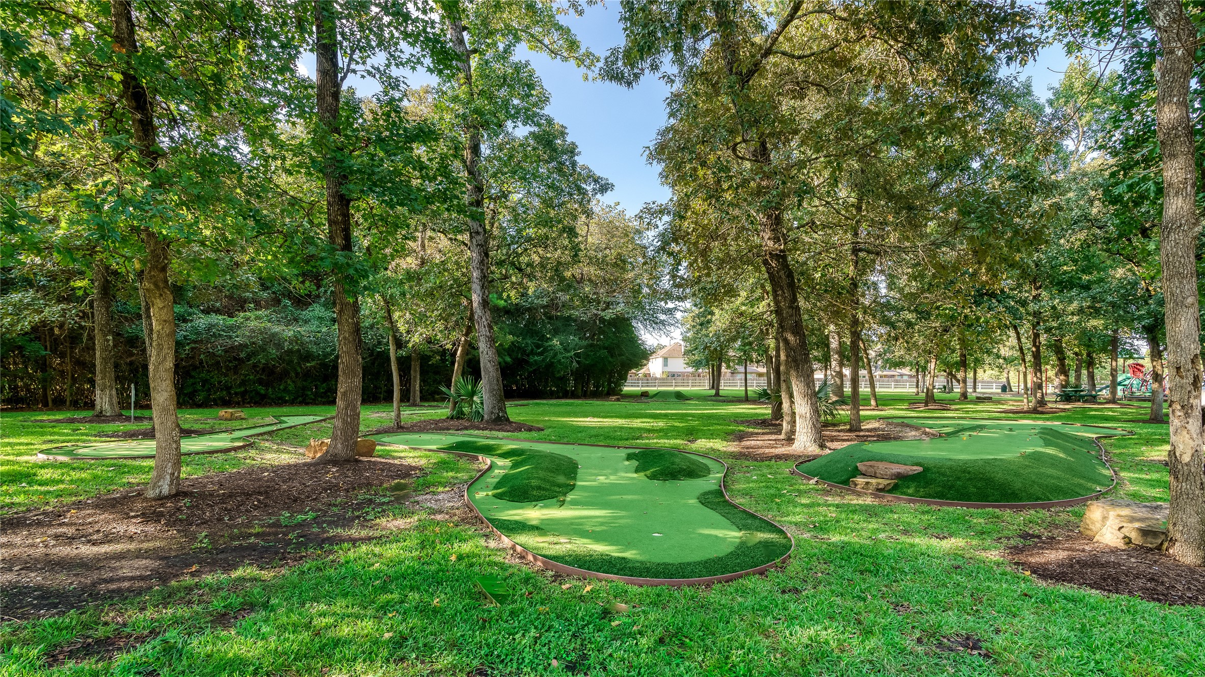 107 Elk Run Court Conroe, TX 77384 - Photo 47 of 50 Community putt putt