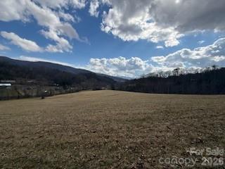 132 Hurd Road Canton, NC 28716 - Photo 30 of 41