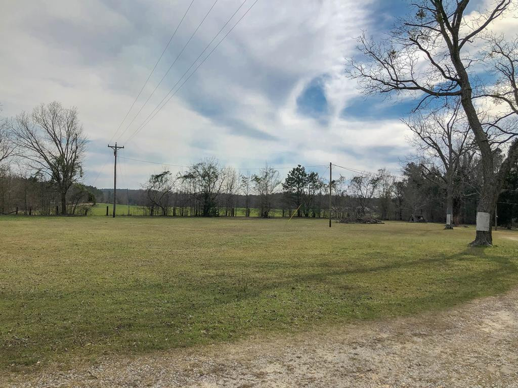 6722 Mitchell Road Mitchell, GA 30820 - Photo 3 of 28