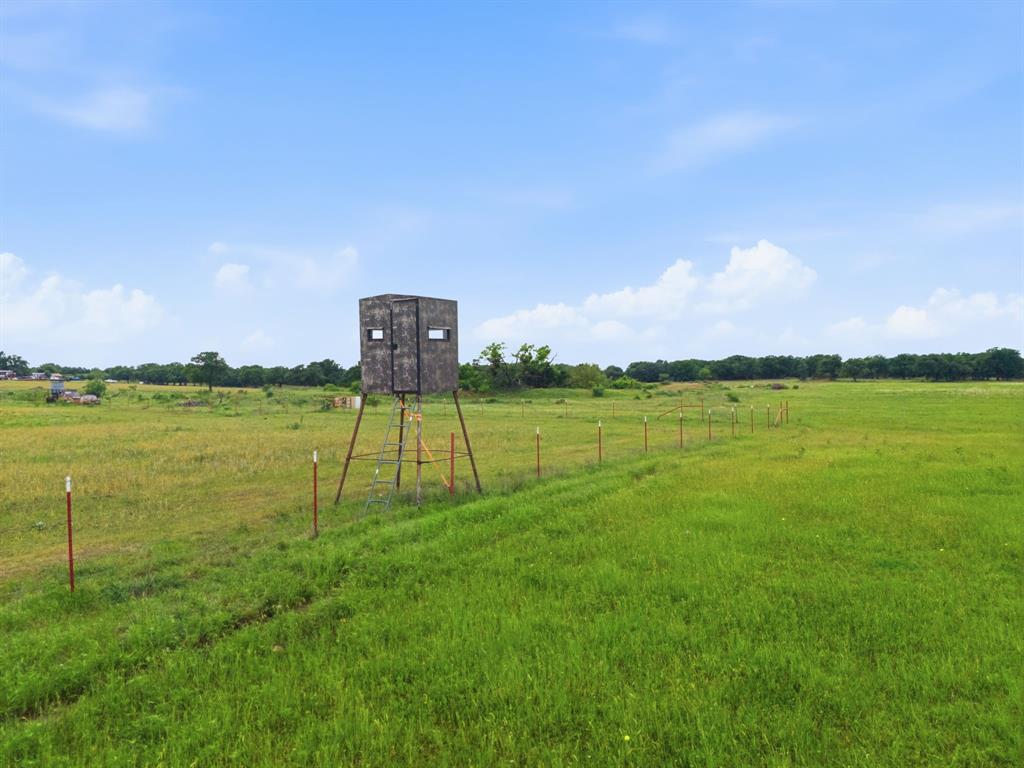 225 County Road 225 Rising Star, TX 76471 - Photo 7 of 36 Gallery Image 7