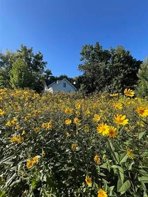 $1,600,000 | 7594 Watch Hill Court, Verona, WI 53593