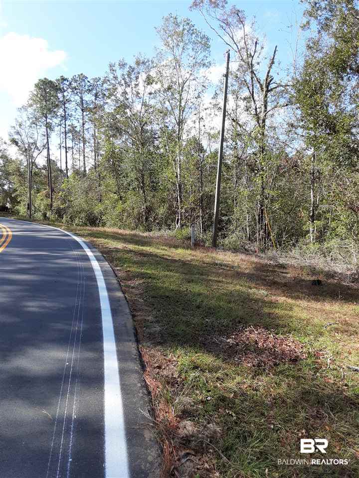0 McPhillips Road Loxley, AL 36551 - Photo 3 of 27