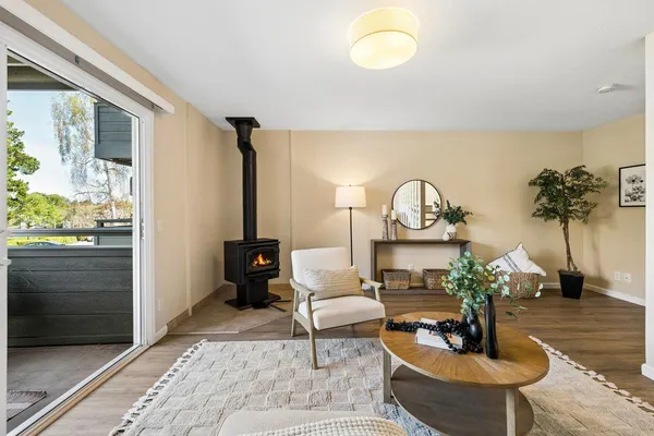 a living room with furniture and a potted plant