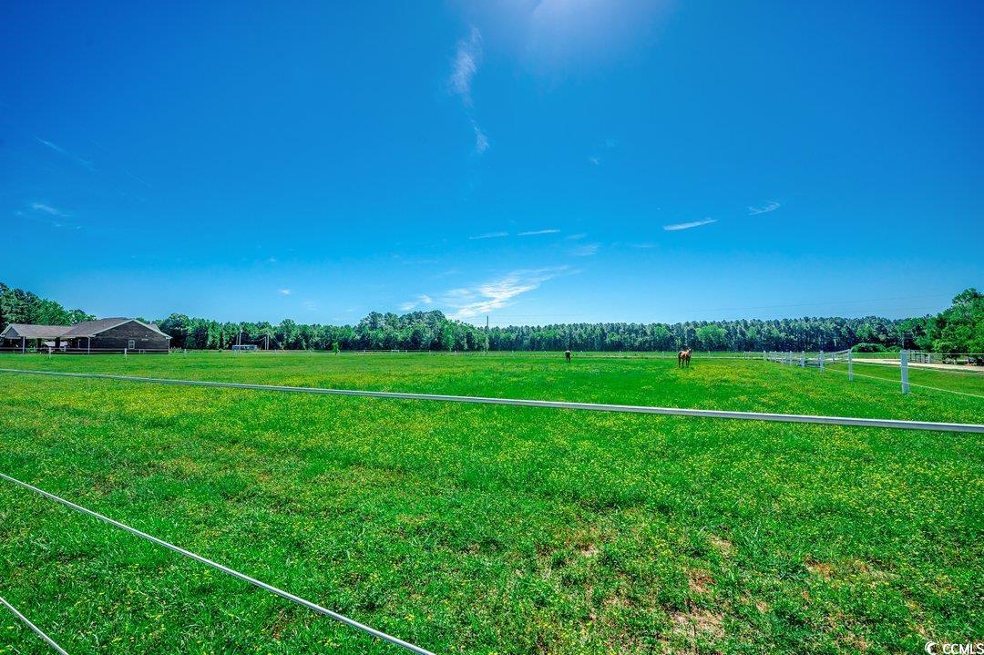 181 Halfway Road Nichols, SC 29581 - Photo 32 of 40