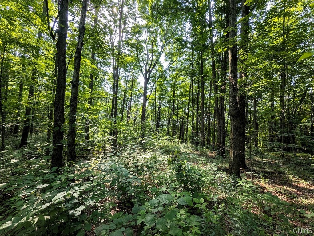 8880 Hemlock Road Wheeler, NY 14809 - Photo 28 of 50