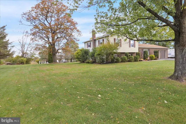 a view of a tree in a yard