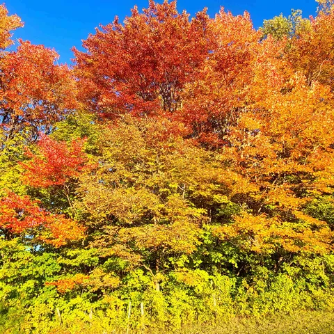 $774,500 | 3325 Mud City Loop, Morristown, VT 05661