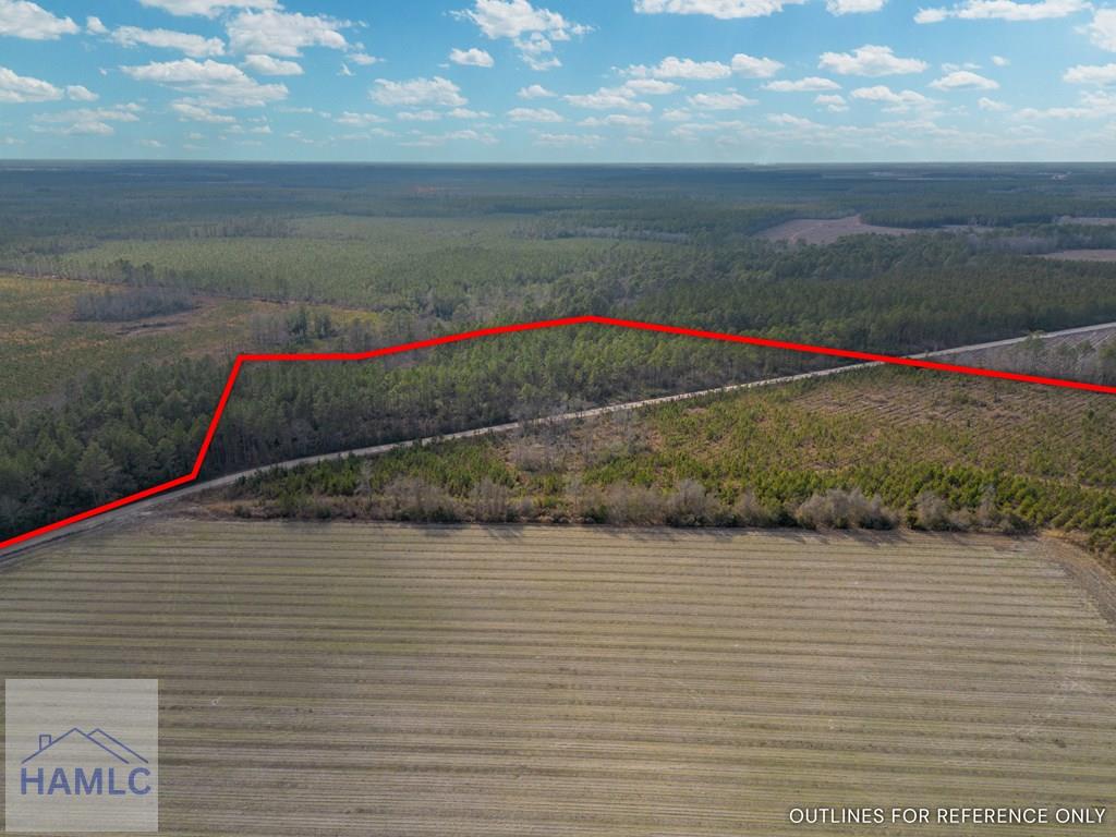 3 Reddish Road Screven, GA 31560 - Photo 14 of 55 Gallery Image 14