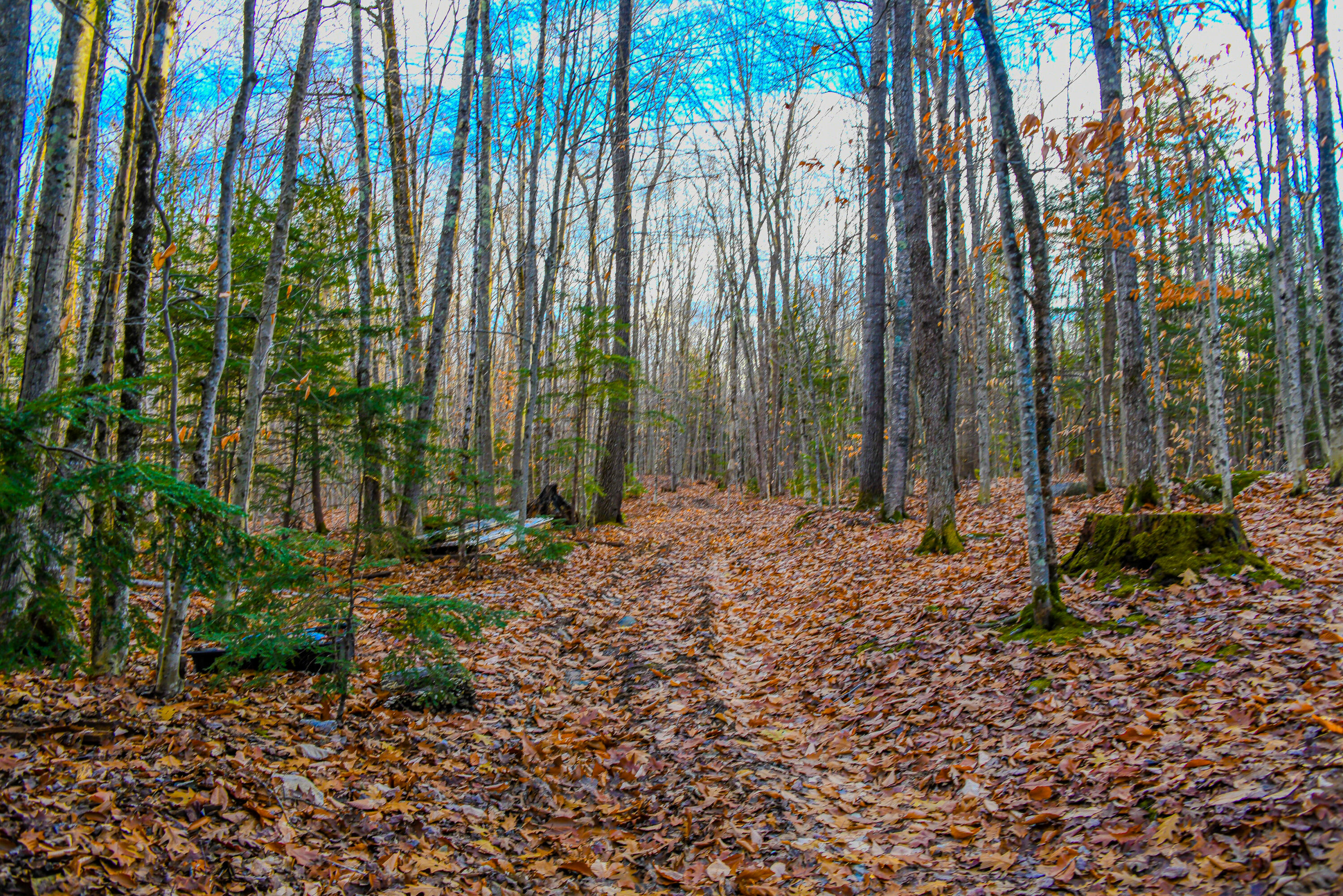 367 Burnham Road Bridgton, ME 04009 - Photo 33 of 44 367 burnham road-43