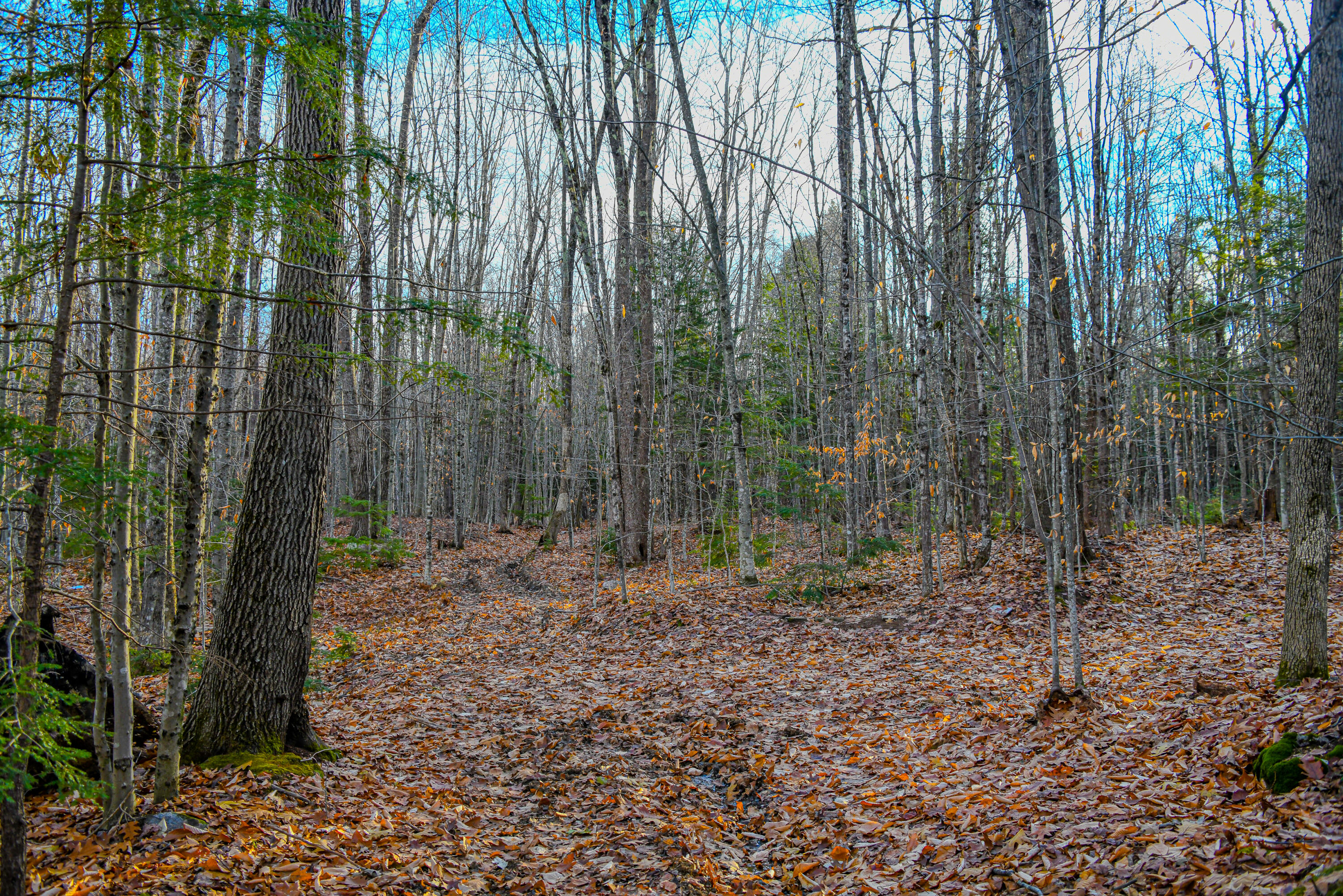 367 Burnham Road Bridgton, ME 04009 - Photo 34 of 44 367 burnham road-44