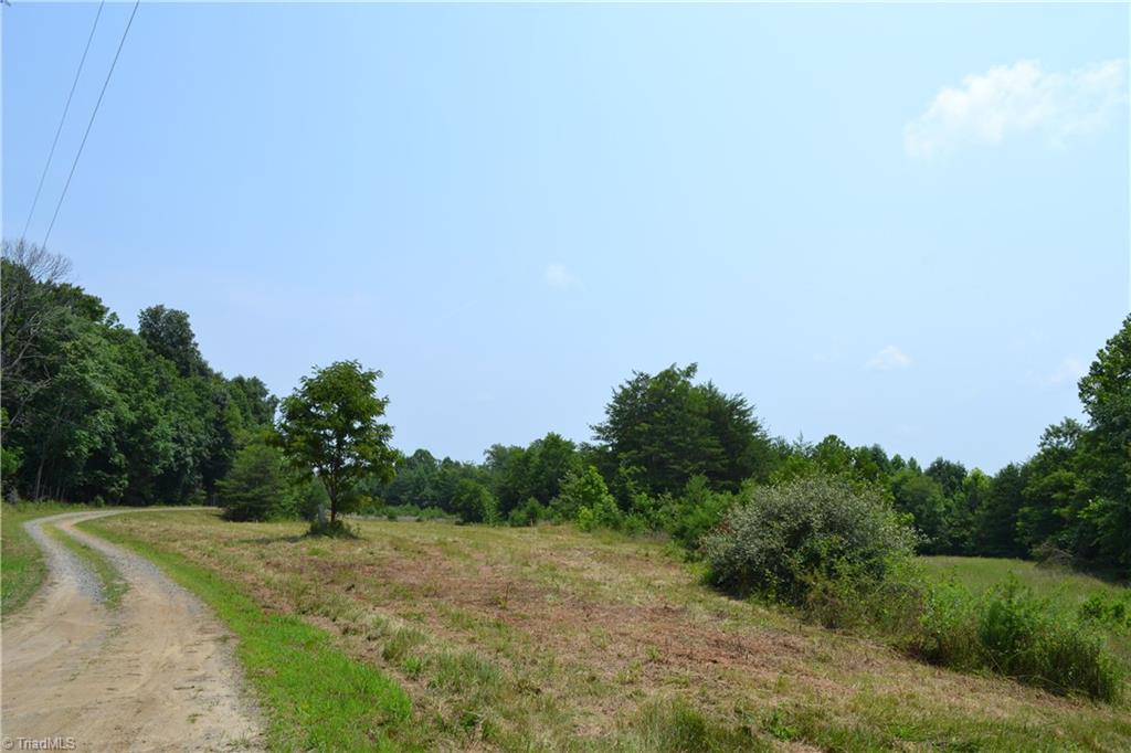 1317 Joyce Woodworks Road Sandy Ridge, NC 27046 - Photo 30 of 34