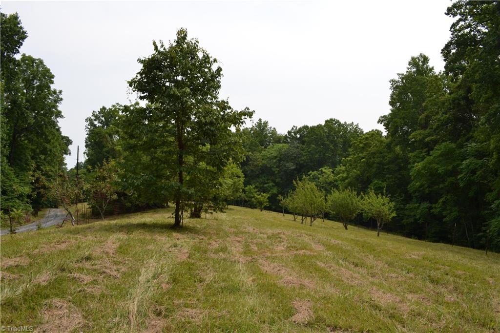 1317 Joyce Woodworks Road Sandy Ridge, NC 27046 - Photo 32 of 34