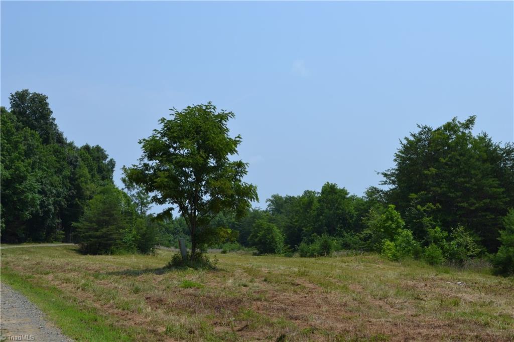 1317 Joyce Woodworks Road Sandy Ridge, NC 27046 - Photo 34 of 34