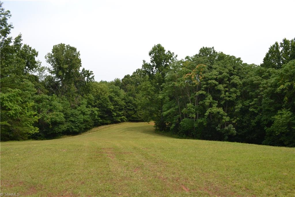 1317 Joyce Woodworks Road Sandy Ridge, NC 27046 - Photo 6 of 34