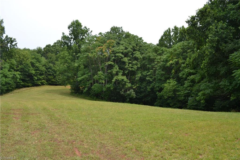 1317 Joyce Woodworks Road Sandy Ridge, NC 27046 - Photo 7 of 34