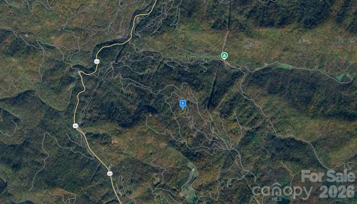 541 Pasture Road Glenville, NC 28736 - Photo 3 of 5