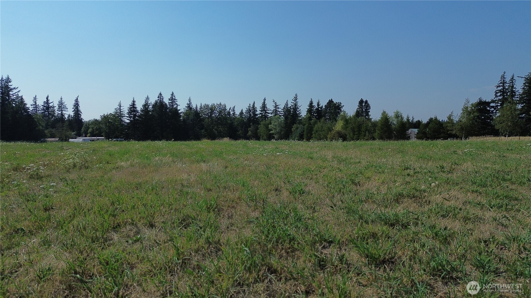 6340 Mission Road Everson, WA 98247 - Photo 27 of 34 a view of field with trees in the background