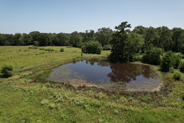 882 Jones Road New Waverly, TX 77358 - Photo 4 of 11 Gallery Image 4