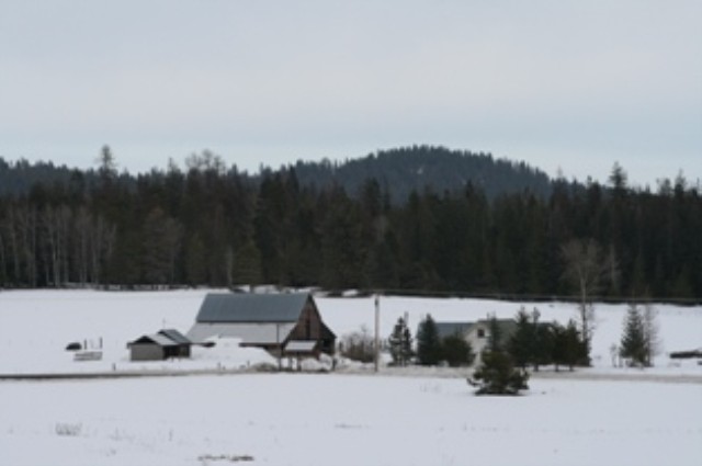 41624 North Spotted Road Deer Park, WA 99006 - Photo 1 of 6 Gallery Image 1