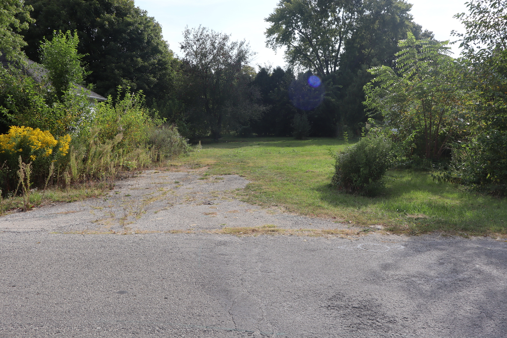 1107 Arthur Street Streator, IL 61364 - Photo 2 of 3 a view of a field with trees in background