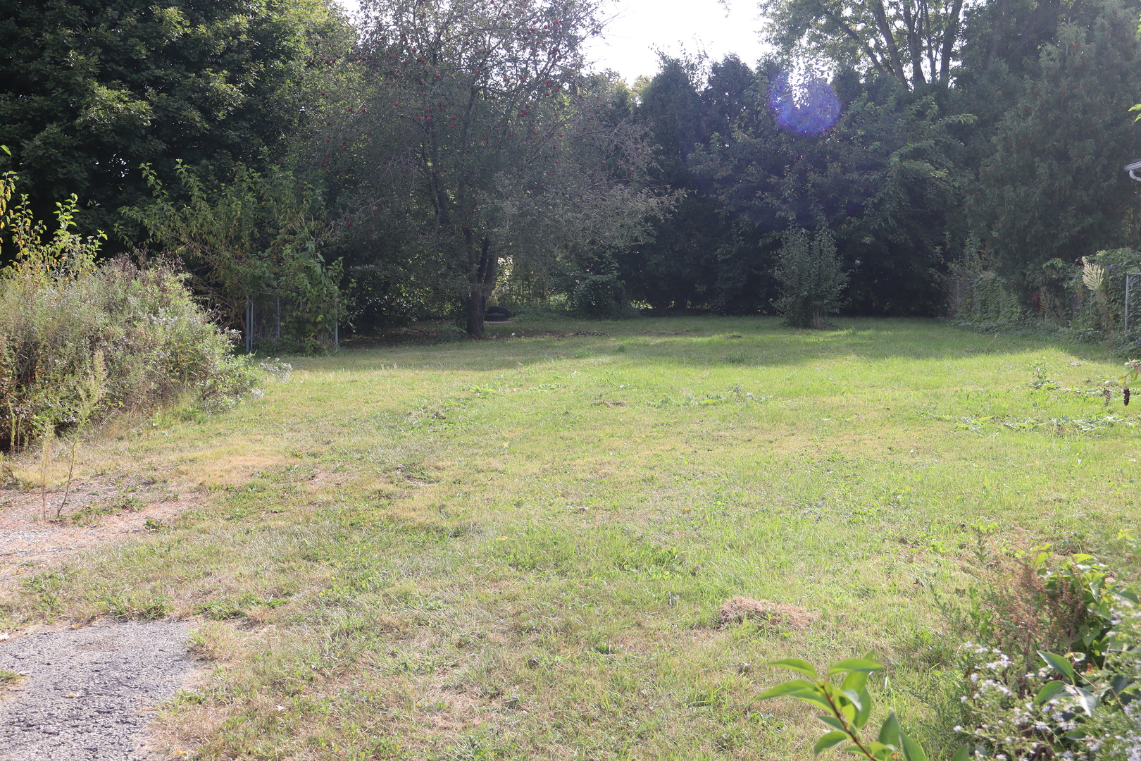 1107 Arthur Street Streator, IL 61364 - Photo 3 of 3 a view of a yard