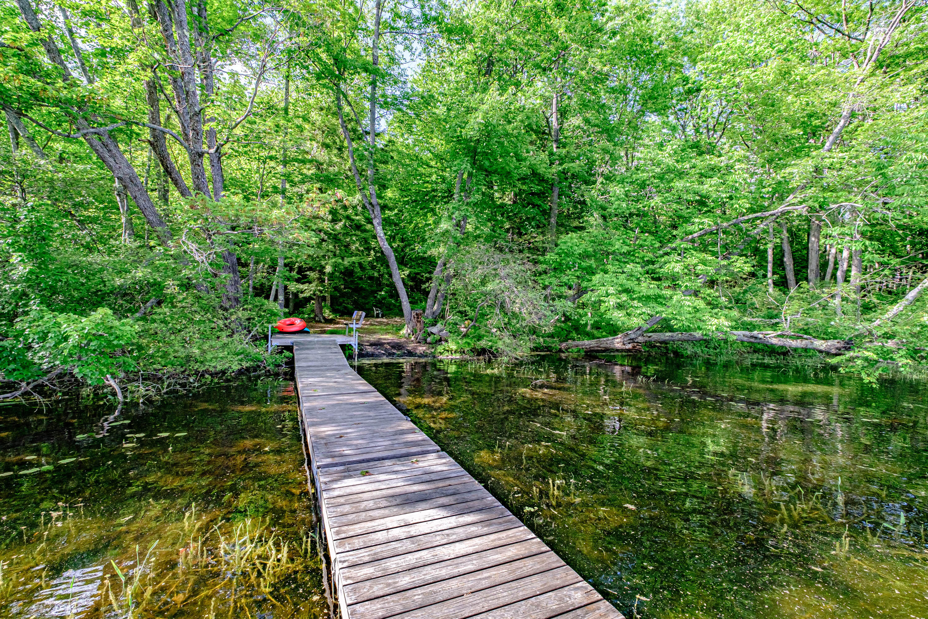 142 5 Kezar Ponds Road Waterford, ME 04088 - Photo 2 of 73 20220610gp-67025