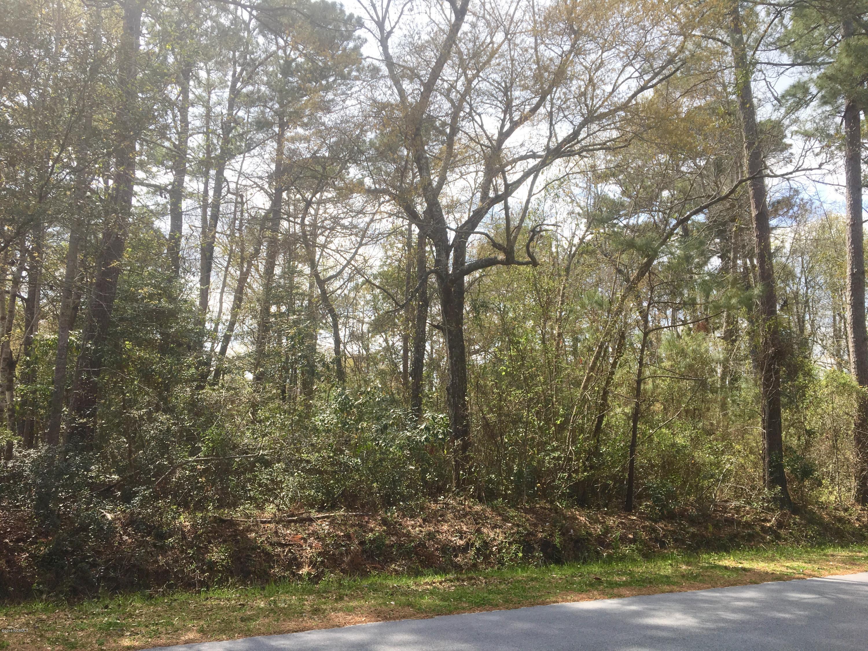Lot 62 Sawgrass Road Hampstead, NC 28443 - Photo 2 of 21 Lot View from Front