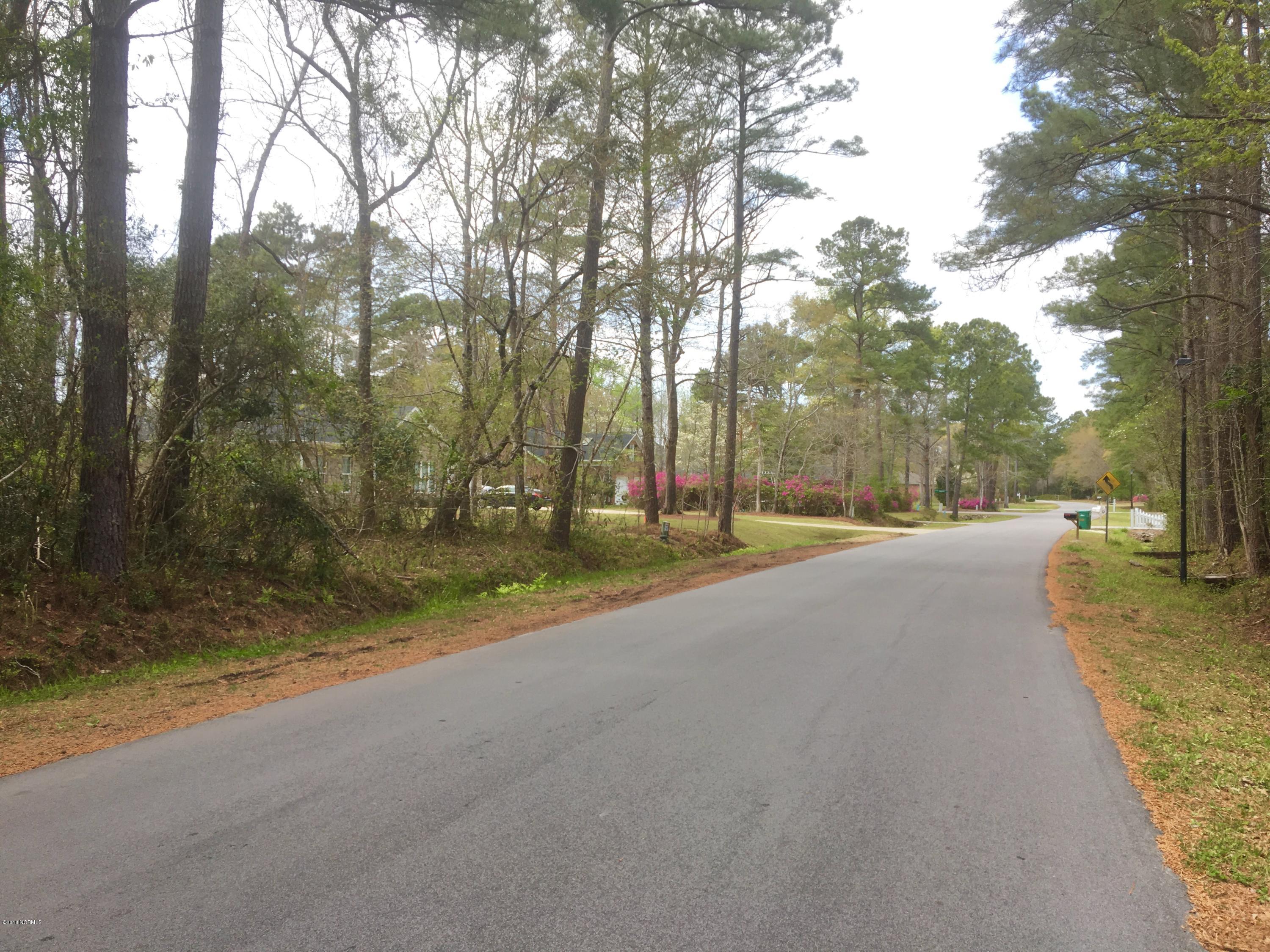 Lot 62 Sawgrass Road Hampstead, NC 28443 - Photo 3 of 21 Street View
