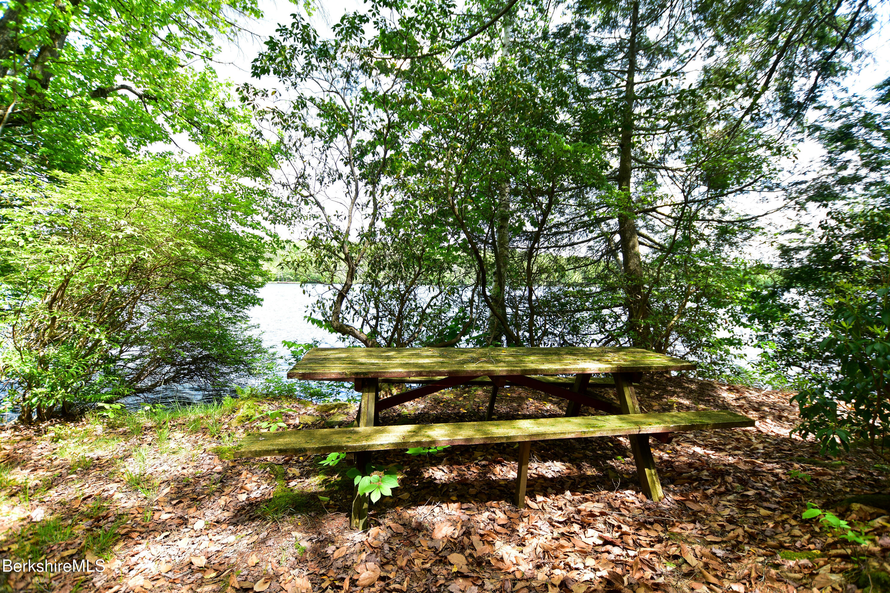 18 Osceola Road Becket, MA 01223 - Photo 14 of 19 a view of a bench in a forest