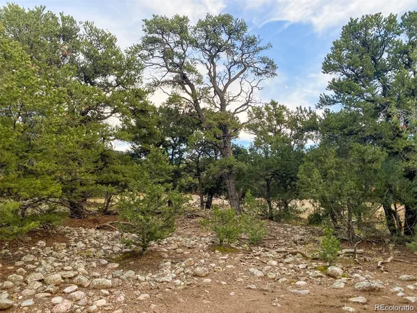 $85,000 | 3872 Jubilant Terrace, Crestone, CO 81131