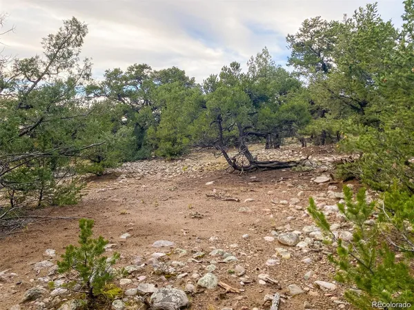 $85,000 | 3872 Jubilant Terrace, Crestone, CO 81131