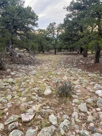 $85,000 | 3872 Jubilant Terrace, Crestone, CO 81131