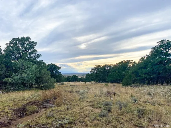 $85,000 | 3872 Jubilant Terrace, Crestone, CO 81131