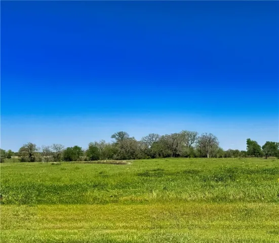 a view of a grassy field with trees