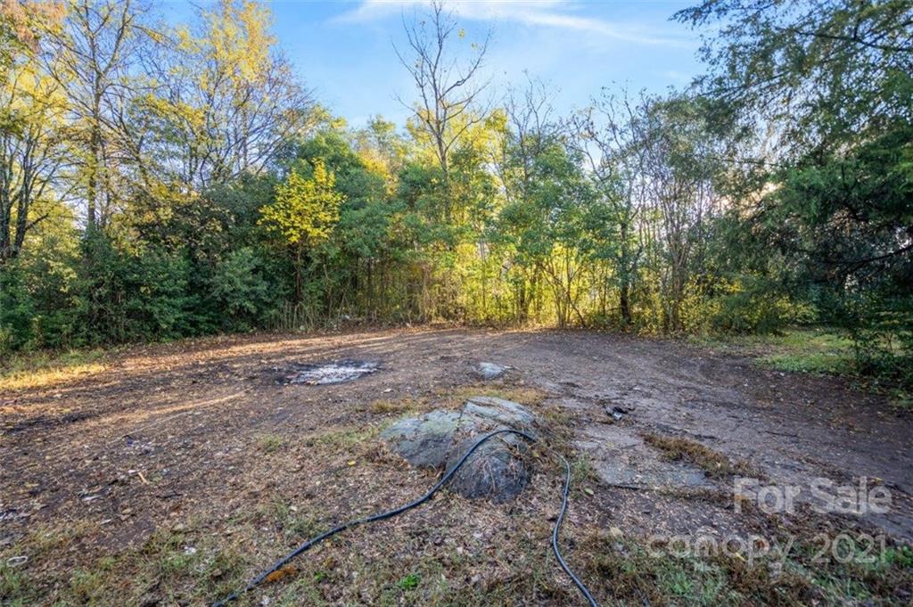 235 Porter Road Rock Hill, SC 29730 - Photo 6 of 29 a view of a yard with a tree